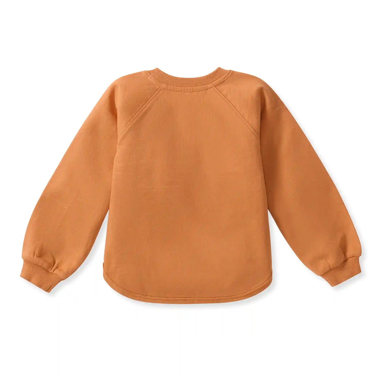 Pumpkin Organic Cotton Sweatshirt