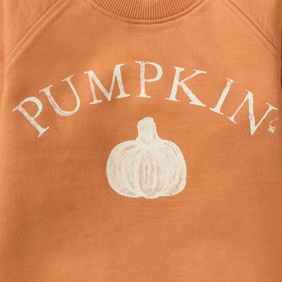 Pumpkin Organic Cotton Sweatshirt