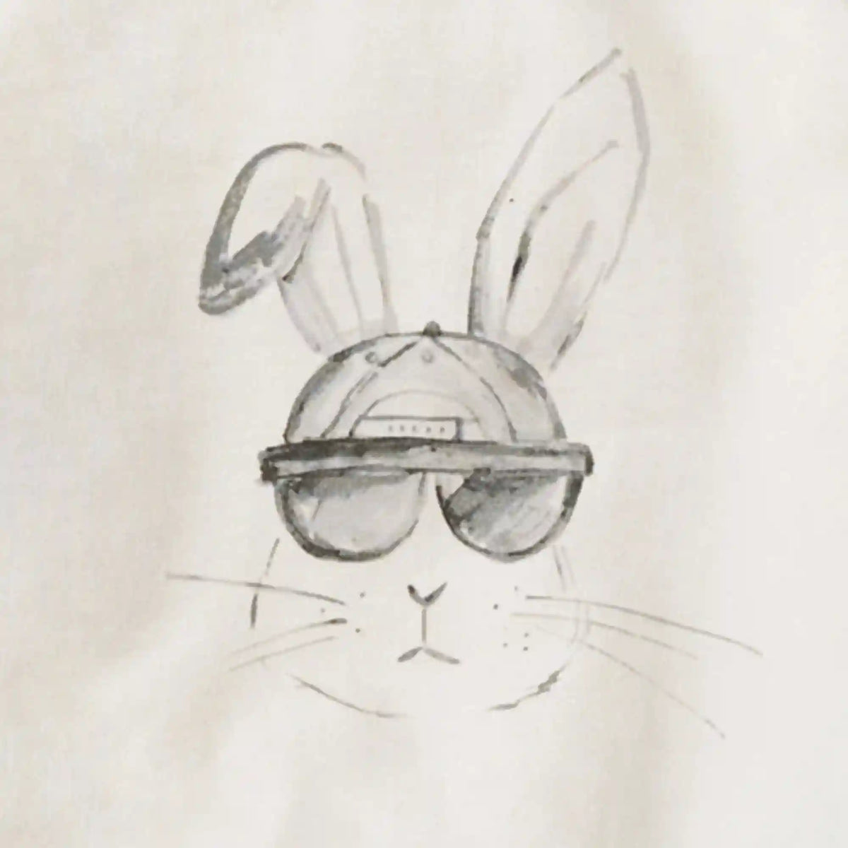 Hip Hop Bunny Sweatshirt & Pants Set