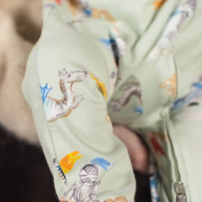 Knight & Dragons Organic Cotton Two-Piece Pajamas