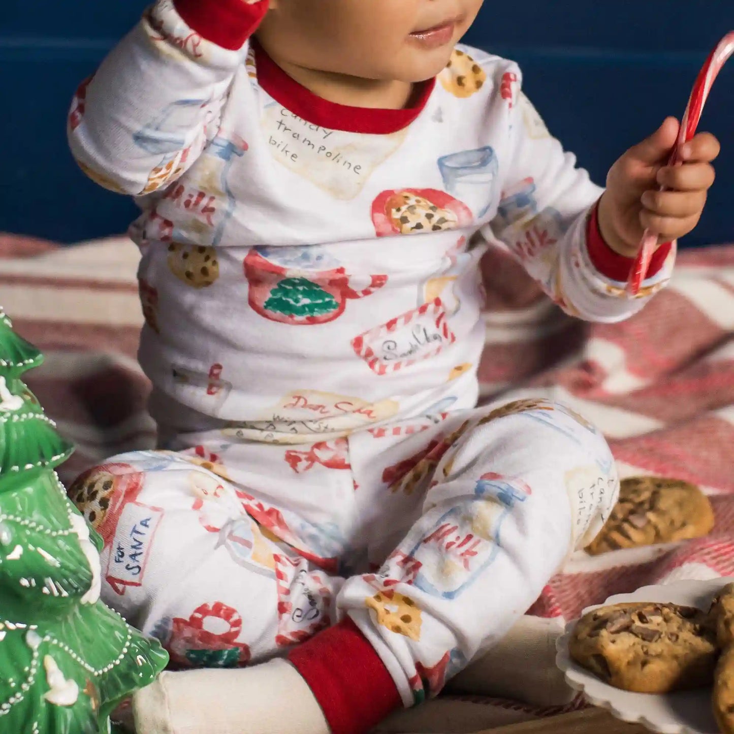 Cookies For Santa Family Matching Organic Cotton Two-Piece Pajamas