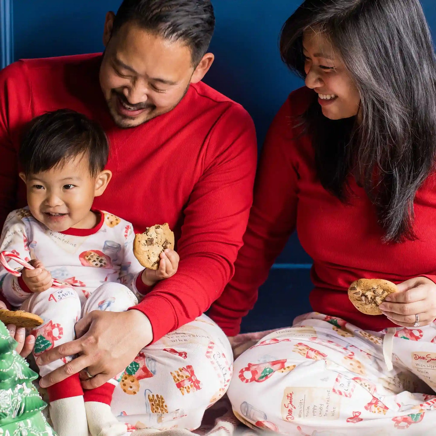 Cookies For Santa Family Matching Organic Cotton Sleep & Play