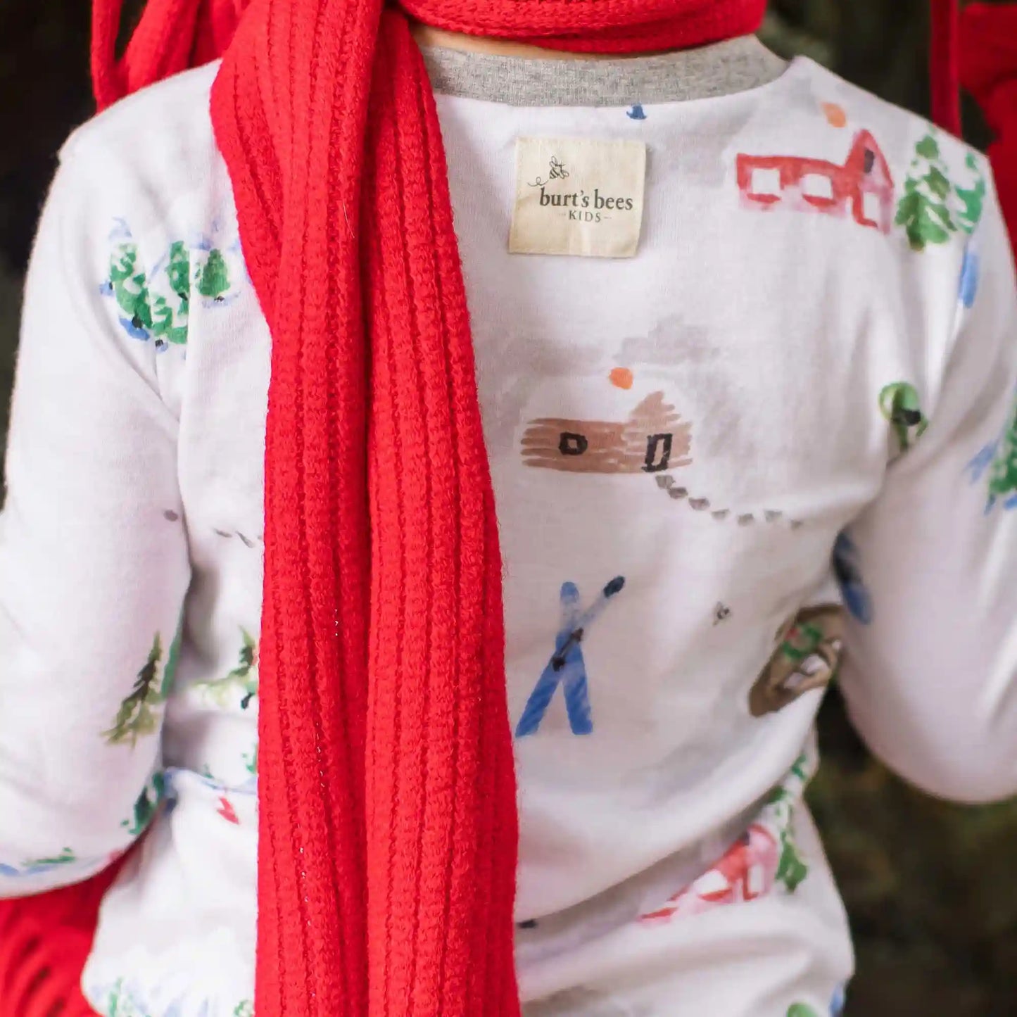 Ski Slopes Family Matching Organic Cotton Two-Piece Pajamas